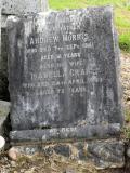 image of grave number 80039